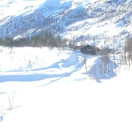 Kvamseter *