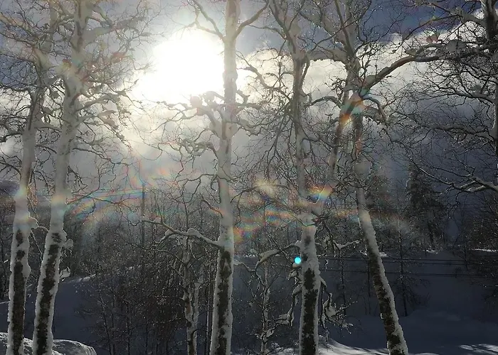 Kvamseter * Eikedalen