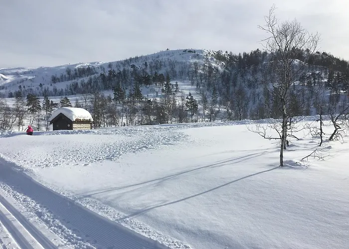 Kvamseter Eikedalen