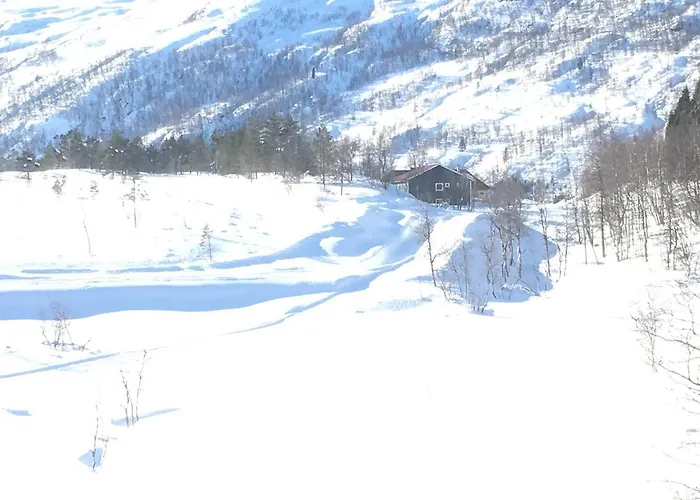 Kvamseter *